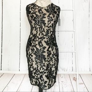 Lovers + Friends Black Lace Mini Dress NWT